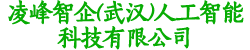 凌峰智企(武汉)人工智能科技有限公司